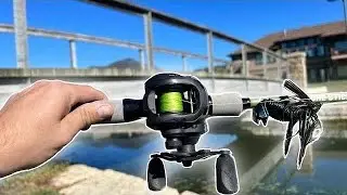 FALL Pond Fishing In MILLIONAIRES Backyard&rsquo;s For BIG FISH