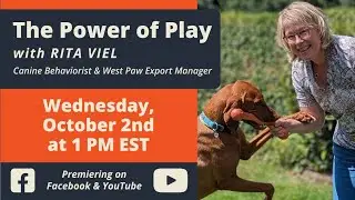 The Power of Play with Rita Veil, Dog Behaviorist and West Paw Export Manager