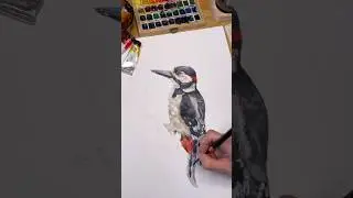 Great Spotted Woodpecker in watercolor | Realistic bird Painting #paintingtechniques #watercolour