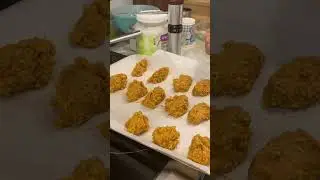 Candida Friendly Pumpkin Coconut Cookies! Pt. 2