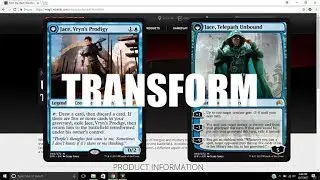 From the Vault: Transform Speculation and Opinion
