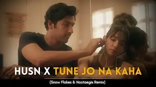 Husn x Tune Jo Na Kaha (Snow Flakes x @noctaegis Remix) | Lo-Fi | Anuv Jain