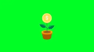 money tree green screen video