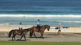NSW Police to enforce social distancing