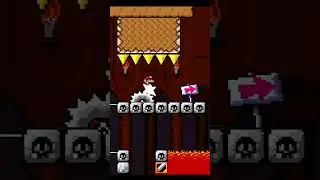 Hardest Level in Quickie World 1?  #mario #supermarioworld #kaizo