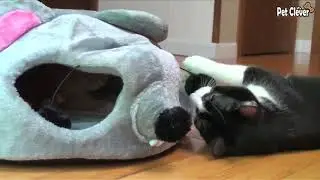 Mouse Cat House Bed With Removable Cushion and Waterproof Bottom