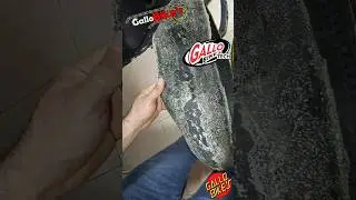 el Peor l&iacute;quido Tubeless que hay