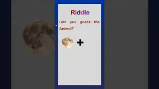 Riddle #subscribe #animalriddle  #english
