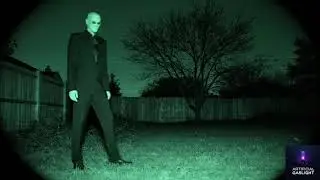 What&rsquo;s happening in my backyard?? 🤯| AI ASMR