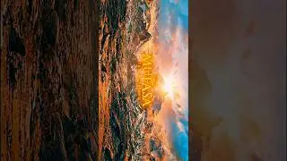 Mustafa your home 🏞️🦁🦁#shorts #musafa #4kvideo #fyp2026