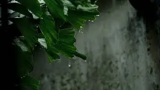 Raining Sound and Thunder SoundㅣHeavy Rain for Sleep, Relaxation and Meditation, ASMR