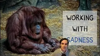 Working With Sadness: A Somatic Psychology Approach
