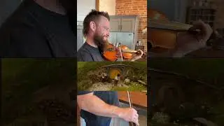 Concerning Hobbits... 🎶