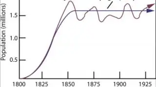 Population Dynamics: Carrying Capacity and Limiting Factors