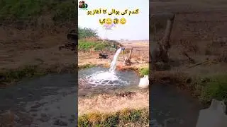 گندم کی بوائی کا آغاز | Shujat Explore Farming Series