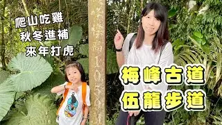 梅嶺風景區，親子步道、美食一次滿足！梅峰古道｜伍龍步道｜賞紫牡丹｜吃梅子雞，怒走四小時就為了喝碗雞湯，秋冬進補來年打虎！