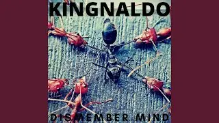 Dismember Mind