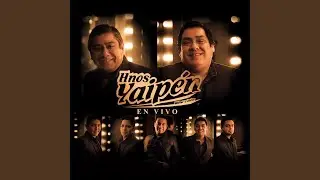 Necesito un Amor (En Vivo)