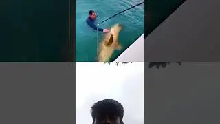 #fishing respect #fish funny #sigma #expensive #challenge