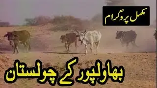 Bahawalpur Ky Sahra Cholistan Documentary  ( ہسٹری بہاولپور )