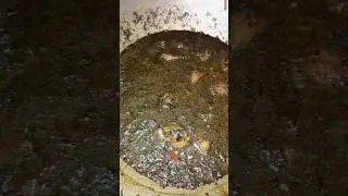 Bodo Traditional Food Oma Narji 🤤🔥 Narzi Oma #recipe #testy #viral #villagerecipe #trending