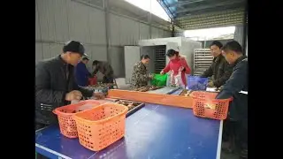 Hello river brand mushroom dryer industrial mushroom dehydrator commerical mushroom dehumdifier