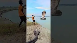 la la kala kala snake aya hamko dharne aya Hara Hara Shambhu
