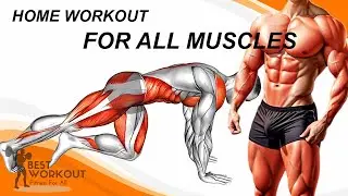 Home Workout for All Muscle Groups | No Gym Needed