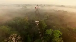 Canopy walk