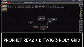 Prophet Rev2 + TC electronic delay + TAL Juno Chorus + Bitwig 3 Poly Grid.