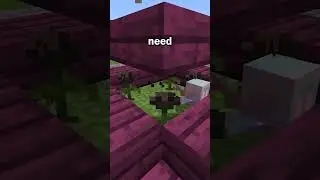 How To Make The BEST XP Farm in Minecraft 1.21!