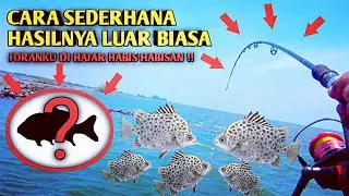 Mancing ikan kiper || cara terbaru mudah dan cepat setraike agar dapat banyak