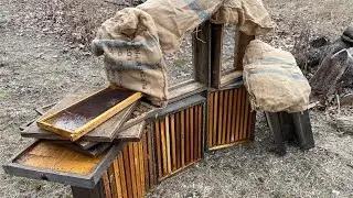 How to Preserve All Your Winter Deadout Equipment. Production Yard Cleanup After 66% Losses!