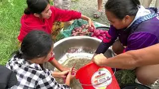 Laboratory 2: Hands-On Harvesting, Sorting, Grading, and Cleaning of Selected Agricultural Products