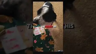 This Dog&rsquo;s Christmas Surprise!🎄