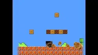 Da Kat Gameplay 1-1 level