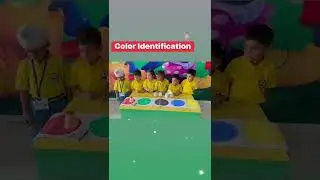 Color&rsquo;s Identification Activity