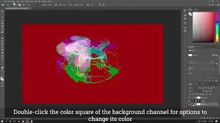 FluoRender Tutorial: Render View Capture Options