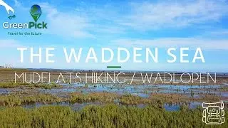 Wadden Sea Netherlands - Mudflats Hiking