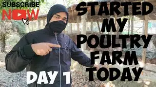 &ldquo;Started My Poultry Farm Today! (Day 1)&rdquo; First Day clining #Poultryfarming #Chickenfarming