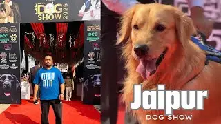Jaipur dog show 2026🦮. Dog adoption at Jaipur dog show. New dog show 2026.