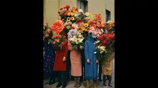 [FREE] EARL SWEATSHIRT TYPE BEAT 