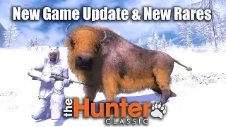 Новое обновление игры и новые редкие предметы — theHunter Classic