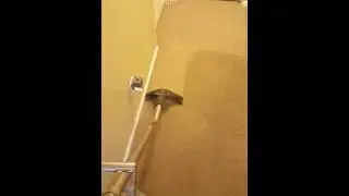Carpet cleaning in nanaimo