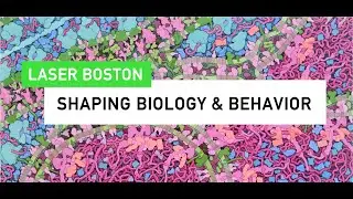LASER Boston: 