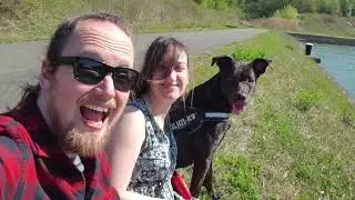 Songs About Dogs
