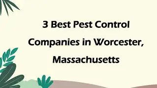 3 Best Pest Control Companies in Worcester, Massachusetts | Pest Extermination