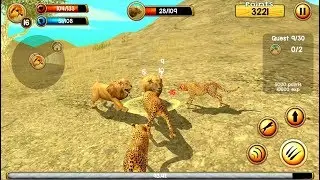 Wild Cheetah Sim 3D Android Gameplay HD #3