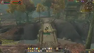 Battle for Azeroth Quest 303: The High Thornspeaker (WoW, human, Paladin)