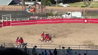Forcados in action at a Bloodless Bullfight in Turlock, CA